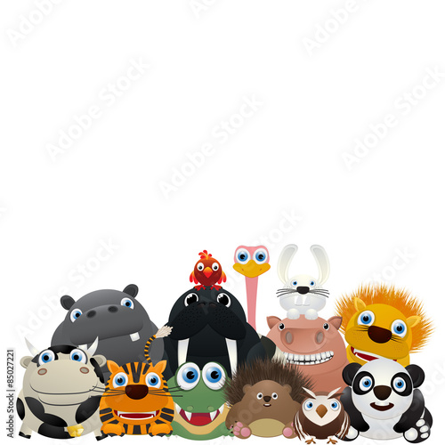 We are the ZOO