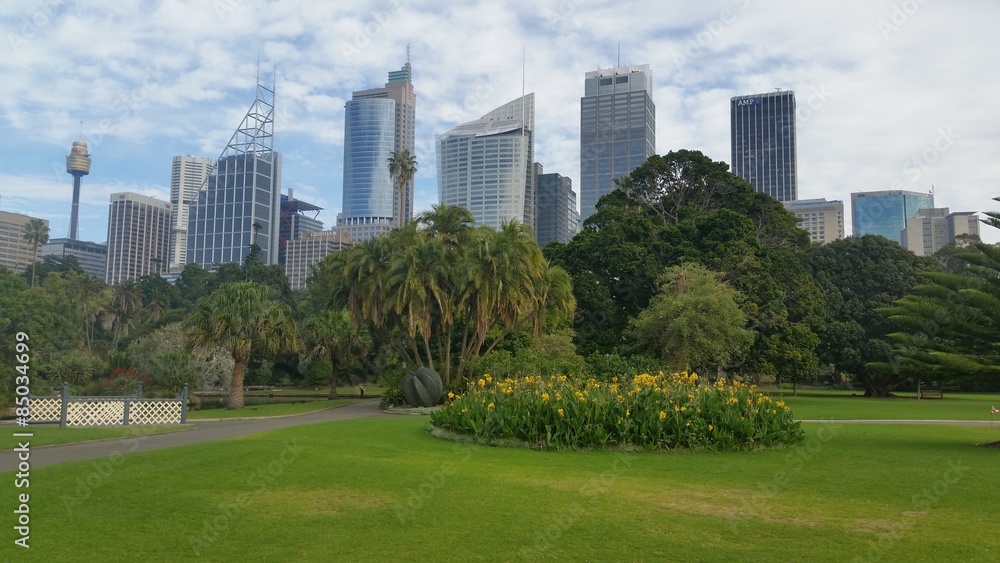 Sydney City from the Botanic Garden