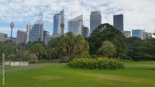 Sydney City from the Botanic Garden © aure50