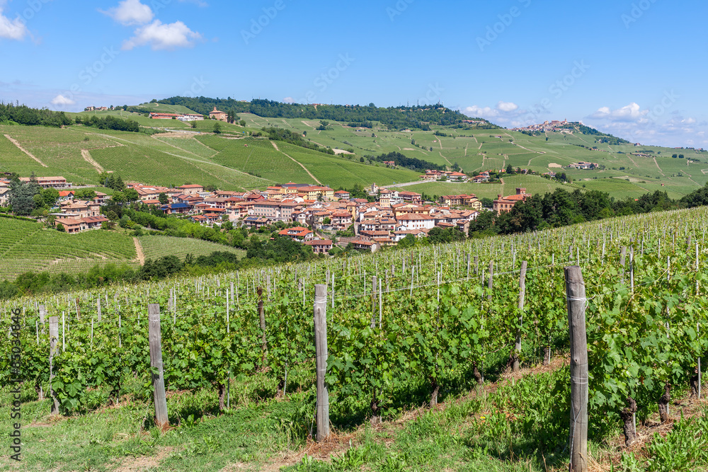 Green vineyards and small town in Italy.