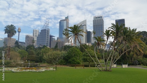 Sydney City from the Botanic Garden © aure50