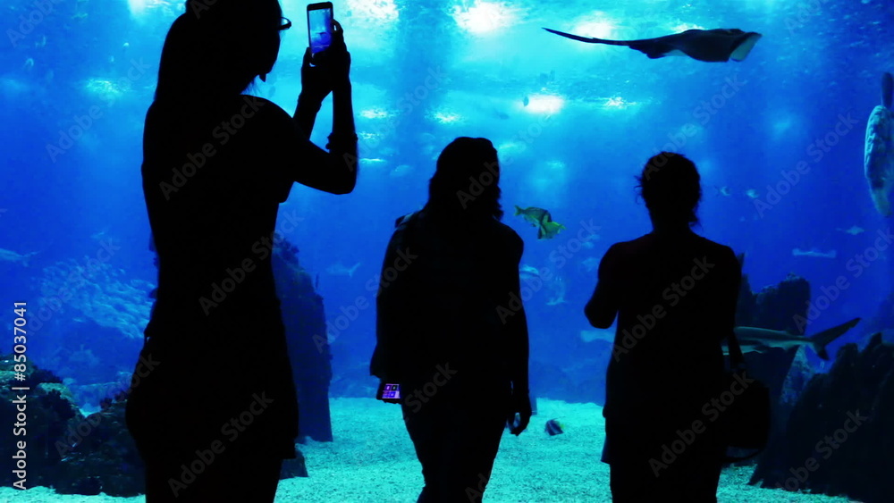 People Take Photos at the Oceanarium People Take Photos at the Oceanarium