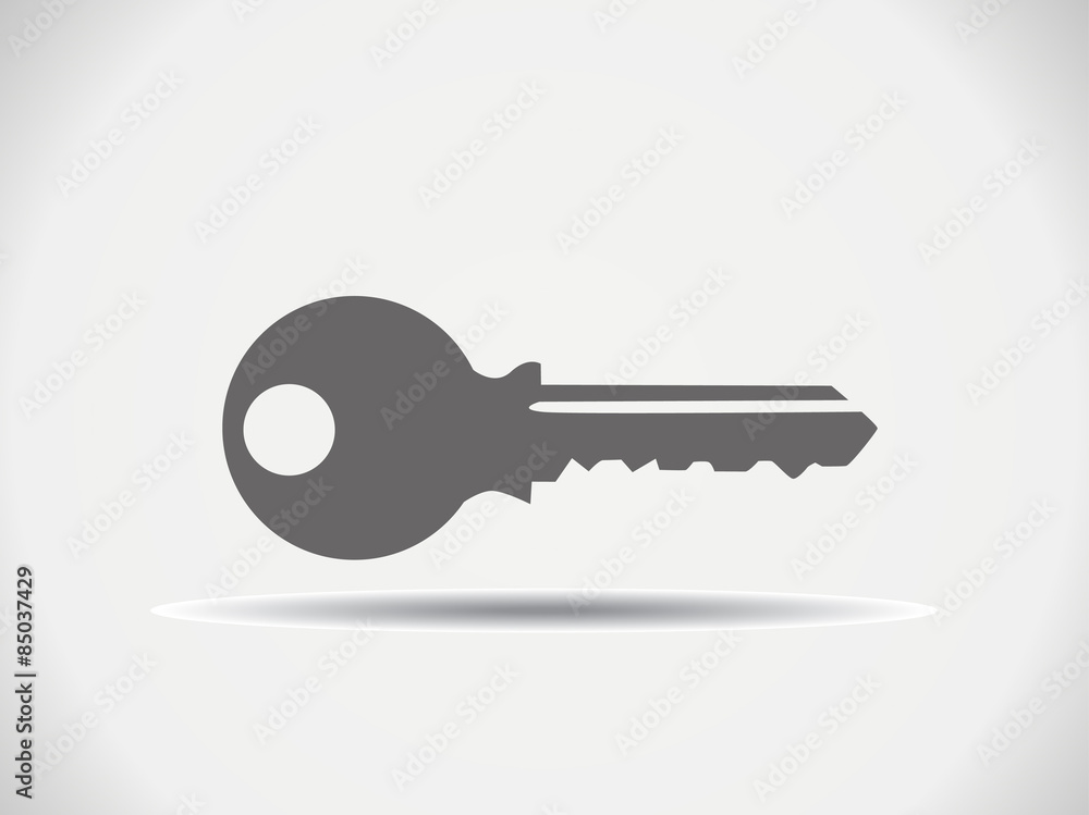 Key vector icon Key vector icon