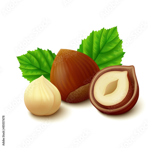 Hazelnuts with leaves on white background