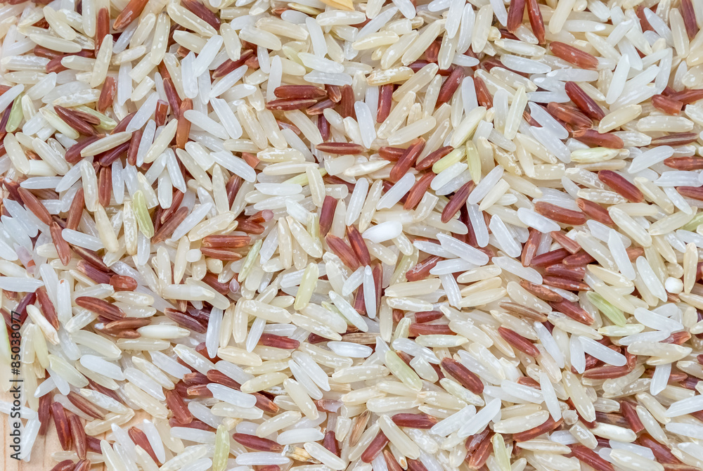 paddy rice,brown rice,white rice 