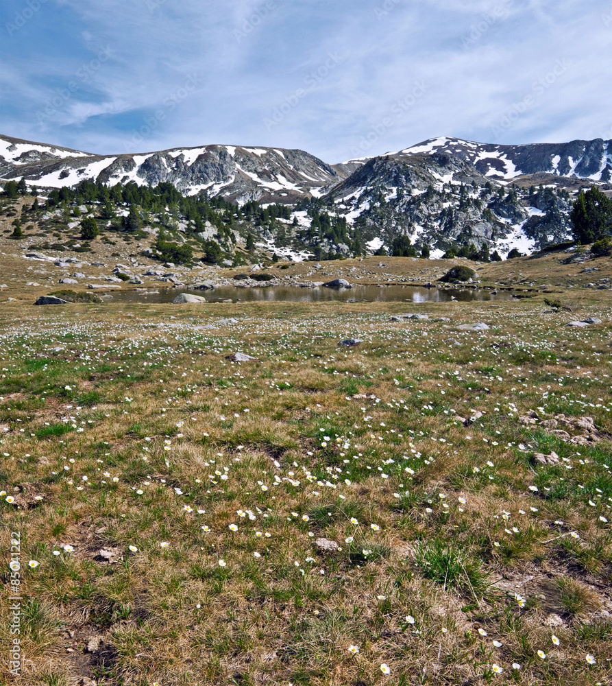 Fototapeta premium Spring in mountain valley
