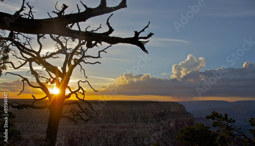 sunset in grand canyon