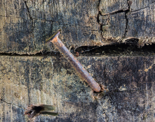 rusty nail and old wood background