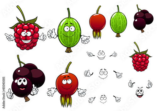 Raspberry, currants, gooseberry and briar berries
