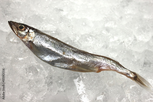 Small fish on ice