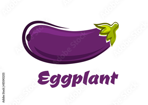 Fresh dark violet eggplant vegetable