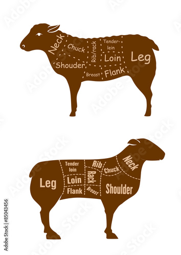  Lamb or mutton butcher cuts detailed diagram