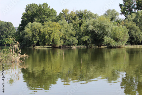 boat river Novi Sad Dunav