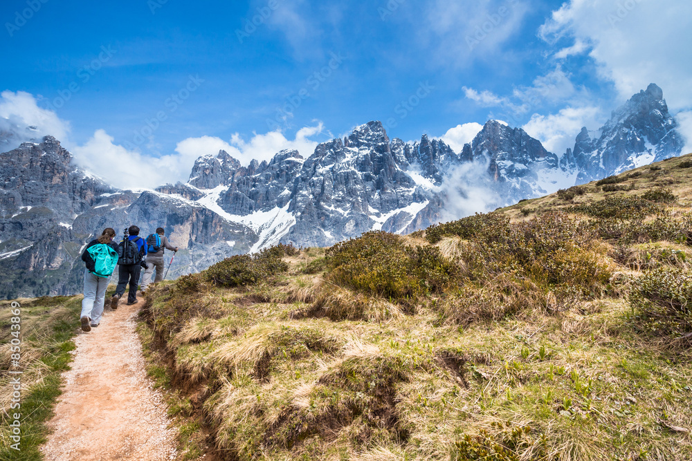 Hikers on Alps Mountain Trail