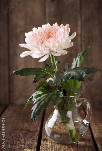 Fotografering Still life: white pink chrysanthemum in a glass vase on a wooden