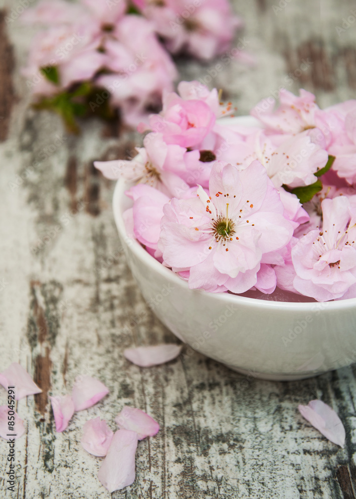 flowers of sakura blossoms in a bowl of water