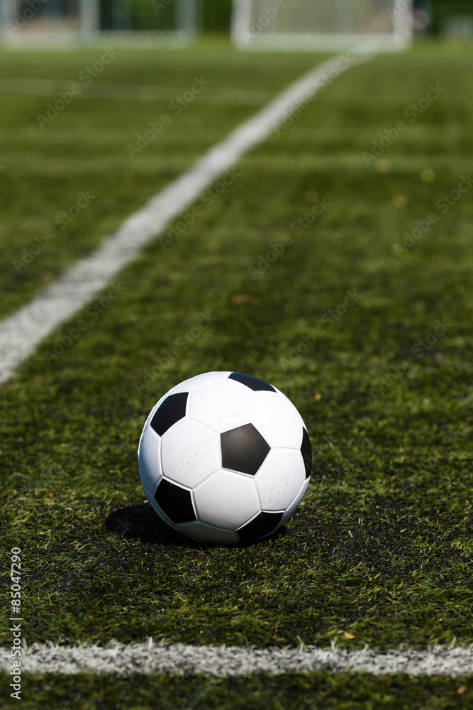 Fototapeta premium Soccer pitch