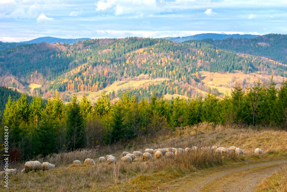 Autumn Landscape with Sheep