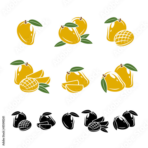 Mango set. Vector