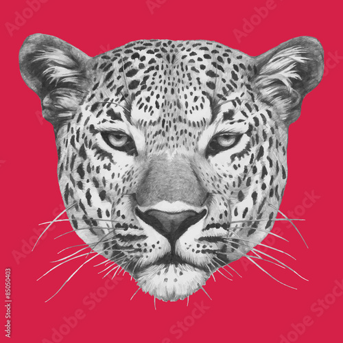 Hand drawn portrait of Leopard. Vector.