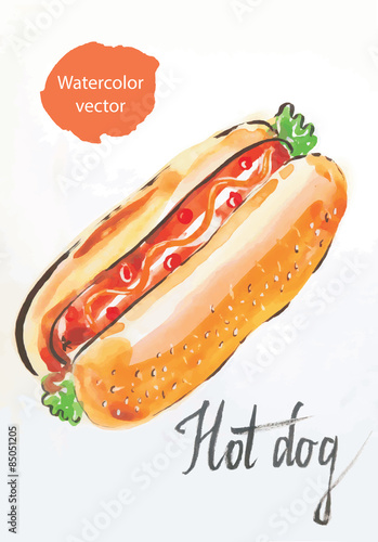 Watercolor hot dog, vector, hand drawn