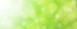 green blurred bokeh background illustration