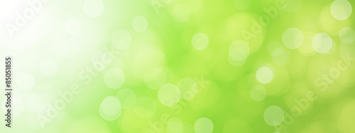 green blurred bokeh background illustration photo