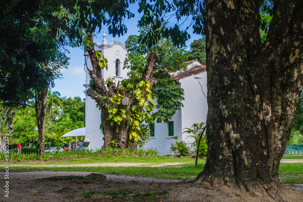 Parque da Jaqueira