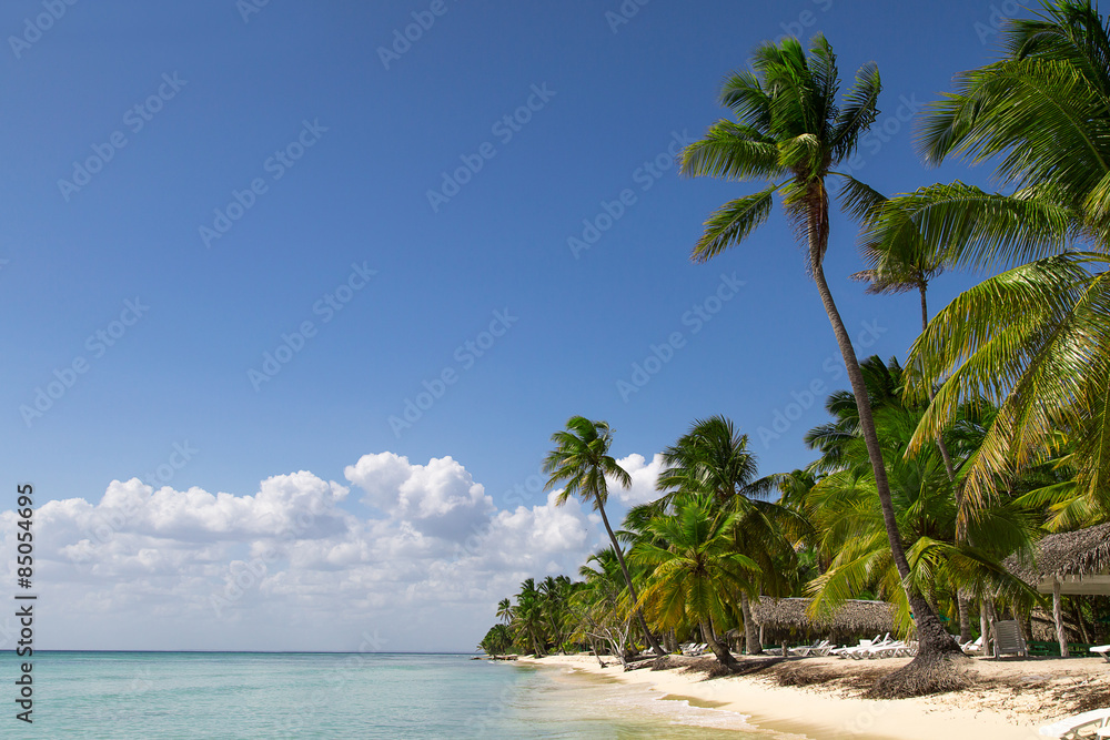 natürlicher Strand mit Palmen in der dominikanischen Republik