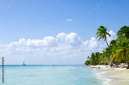 natürlicher Strand mit Palmen in der dominikanischen Republik © Robert Leßmann