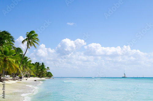Fototapeta Naklejka Na Ścianę i Meble -  natürlicher Strand mit Palmen in der dominikanischen Republik