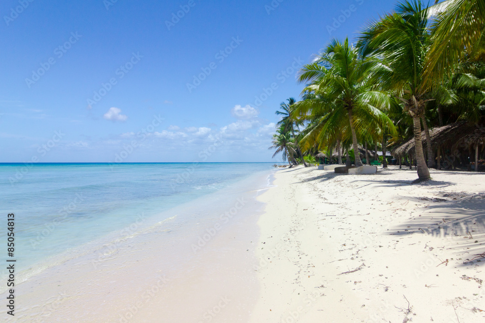 natürlicher Strand mit Palmen in der dominikanischen Republik