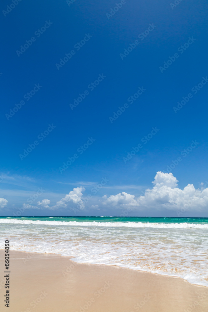 Fototapeta premium schöner Strand in der Karibik