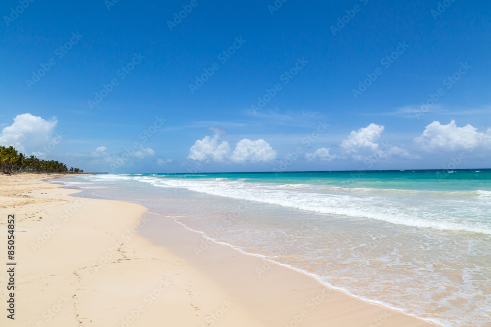 natürlicher Strand mit Palmen in der dominikanischen Republik natürlicher Strand mit Palmen in der dominikanischen Republik