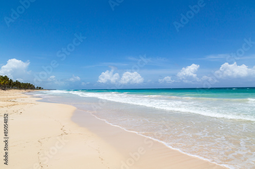 nat  rlicher Strand mit Palmen in der dominikanischen Republik