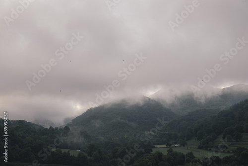 landscape with mountains trees and a river