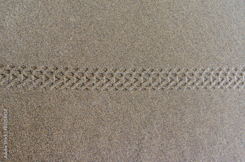 Bicycle tire tracks in wet sand