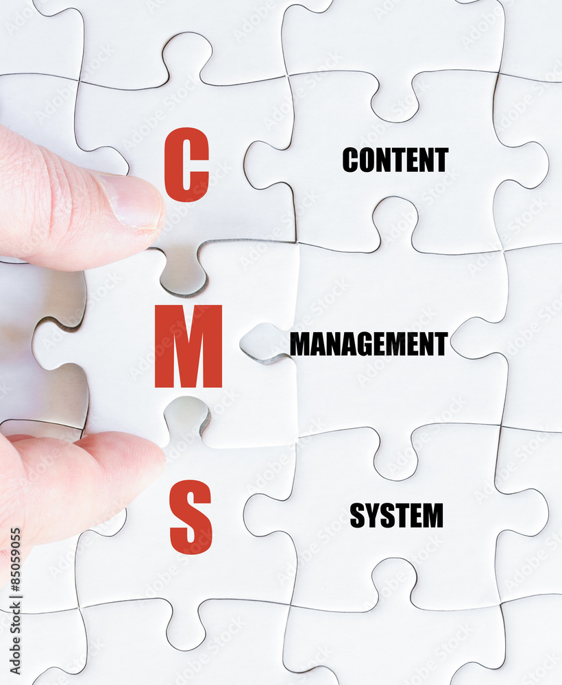 Last puzzle piece with Business Acronym CMS