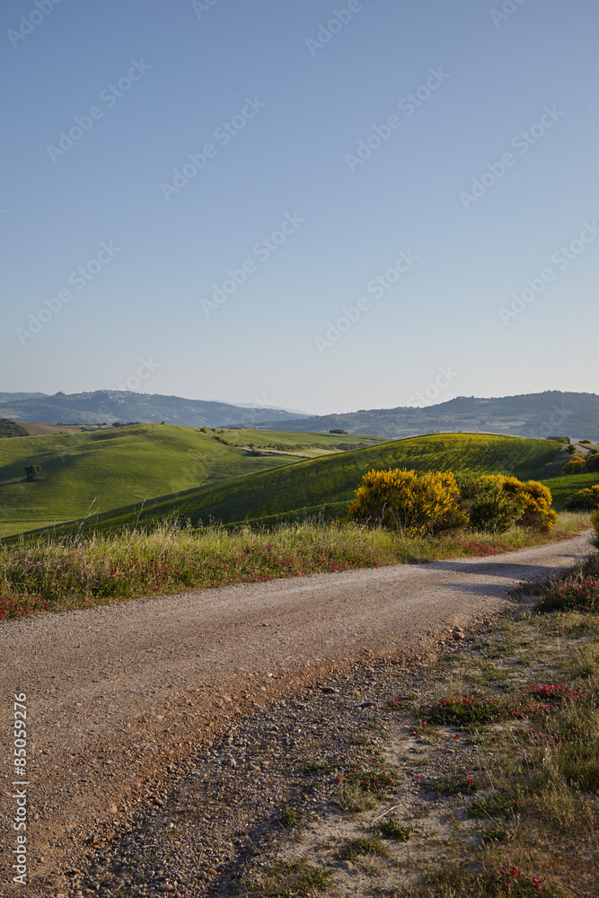 A rural road in Tuscany, Italy