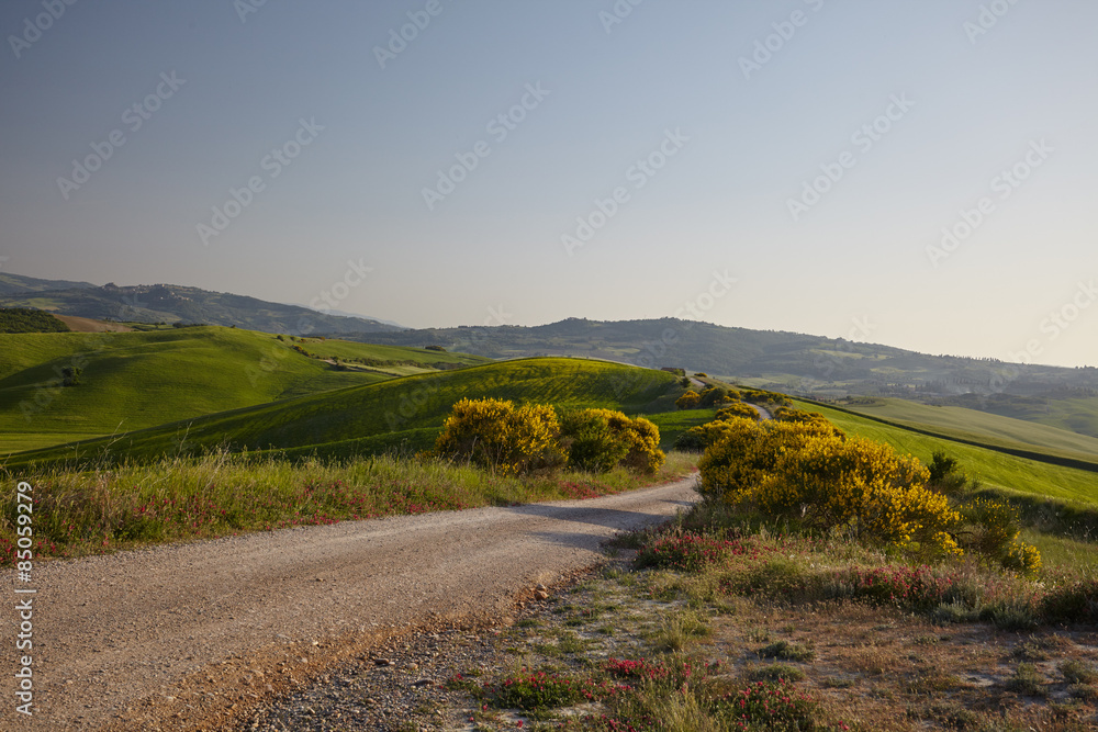 A rural road in Tuscany, Italy