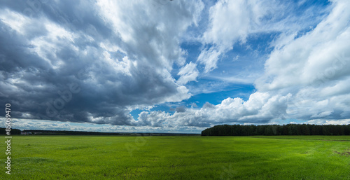 зеленое поле с облаками летом