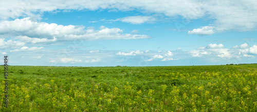 зеленое поле с облаками летом © 7ynp100
