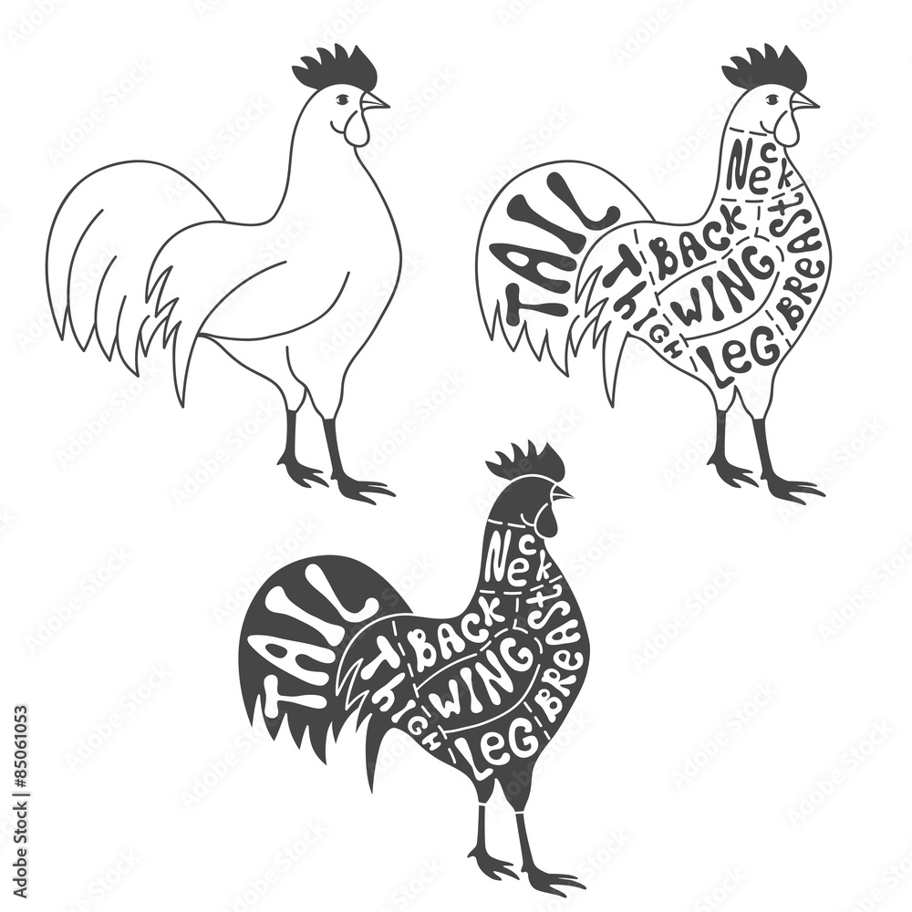 Naklejka premium Butcher cuts scheme of chicken