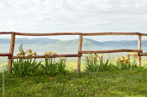 Fototapeta Naklejka Na Ścianę i Meble -  Staccionata con iris