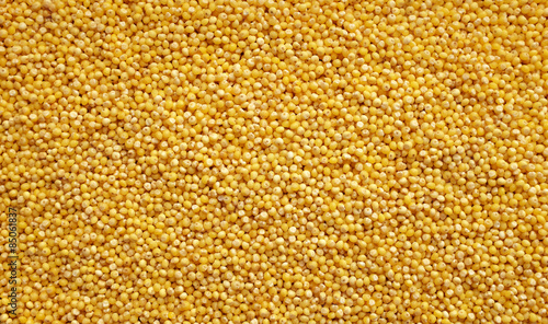 Millet grains background