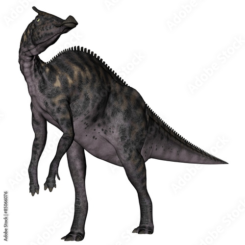 Saurolophus dinosaur - 3D render © Elenarts
