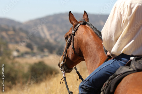 A profile view of a cowboy and his horse.