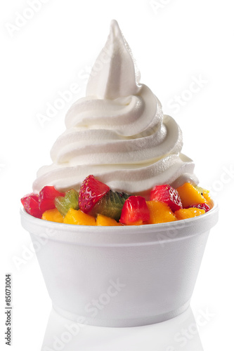 Frozen Yogurt