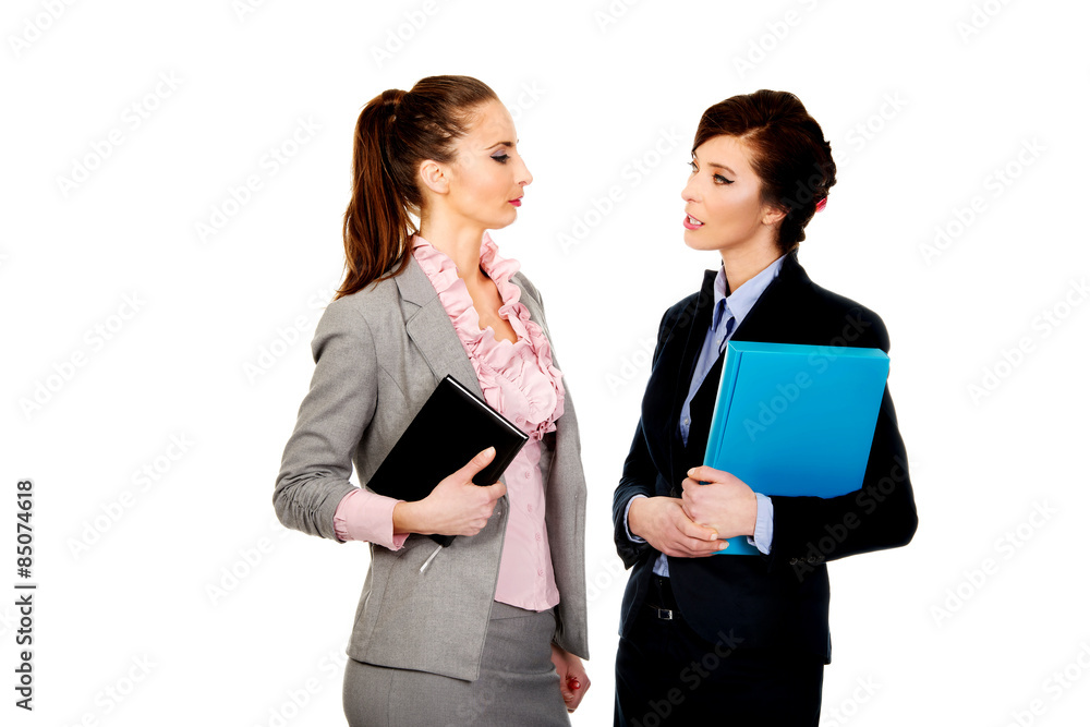 Businesswomans holding their notes. Businesswomans holding their notes.