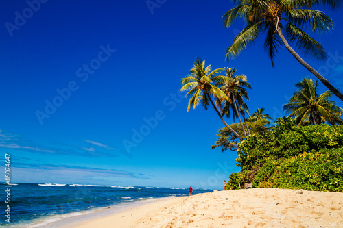 Tropical white sand beach in Oahu, Hawaii